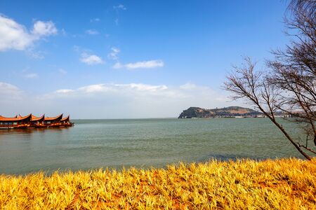 Wetland in Kunmingの写真素材