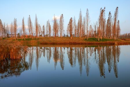 Wetland in Kunmingの写真素材