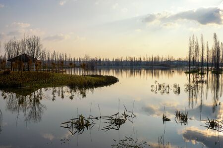 Wetland in Kunmingの写真素材