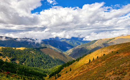 Plateau Nature sceneryの写真素材