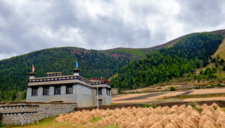 Plateau Nature sceneryの写真素材
