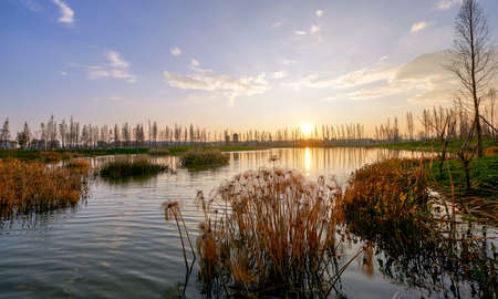 Wetland in Kunmingの写真素材