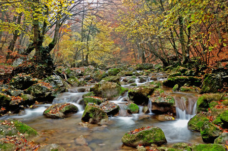 Big canyon Kryma autumn