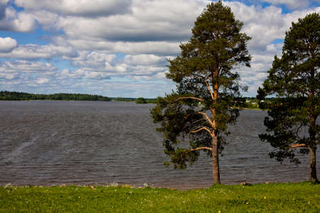 A big lake and two trees in front ofitの写真素材