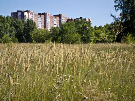 The border between nature and the city  The view from the field の写真素材