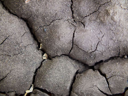 Texture of cracks on dry landの写真素材