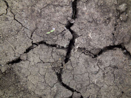 Symbol of a crack on dry landの写真素材