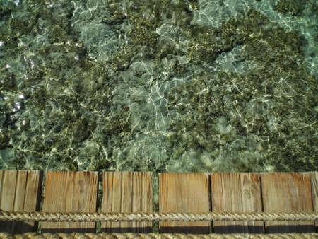 Clear water with coral at the bottomの写真素材