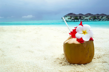 Cocktail on the beach. Beautiful coconut drink on the background of the Indian Oceanの写真素材