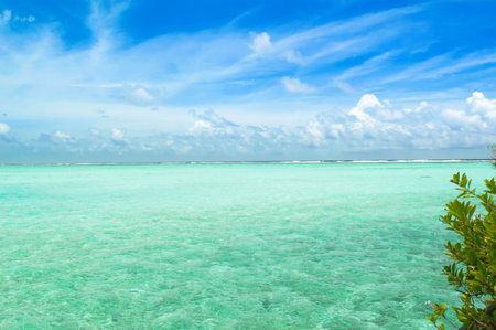Deserted coast of the Indian Ocean. Clear water in the Maldives in sunny weather.の写真素材