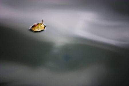 autumnal yellow leaf floating in the water of a river with reflections of the skyの写真素材