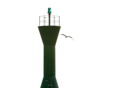 seagull flaying closse to a lightの写真素材