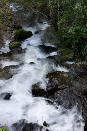 fast flow of a river crossing a forrestの写真素材