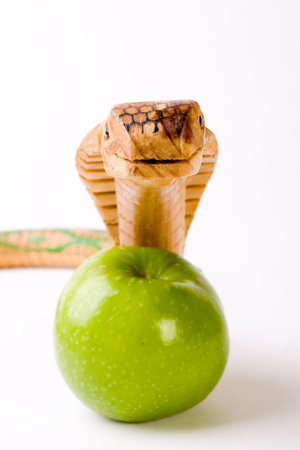 cobra of wood and prohibited appleの写真素材
