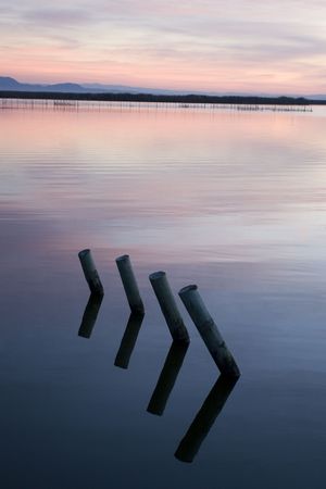 sunset in the natural park of the Lagoon, Valencia, Spainの写真素材