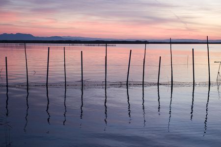 sunset in the natural park of the Lagoon, Valencia, Spainの写真素材