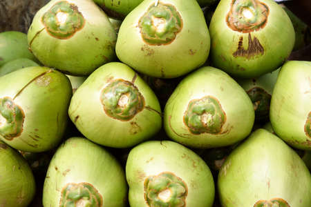 Assorted fresh coconut's heap in a marketの写真素材