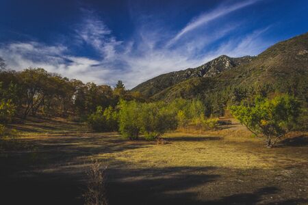 Clearing in the forest with tree-covered mountains in the background and clouds in the sky along a hiking trail in autumn, Oak Glen Preserve, Oak Glen, Californiaの写真素材
