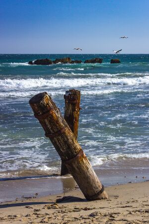 Old logs of the remains of an old pier at Malibu Point, Malibu, Californiaの写真素材