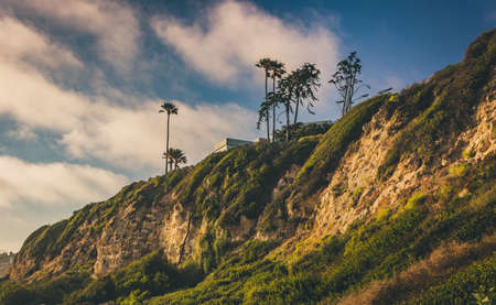 Cliffs and palm trees during sunset at Point Dume State Beach, Malibu, Californiaの写真素材