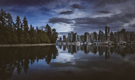 Stunning Vancouver city skyline and Stanley Park trees at blue hour with reflections from Coal Harbour, Vancouver, British Columbiaの写真素材