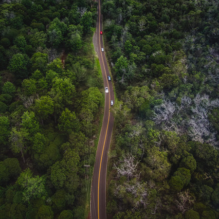 Spectacular aerial of a road winding through Waimea Canyon State Park on a cloudy day, Kauai, Hawaiiの写真素材