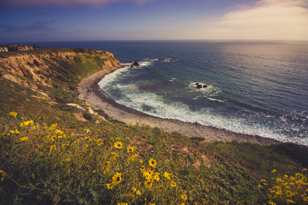 Colorful coastal view of the dramatic Pelican Cove cliffs covered with yellow wildflowers during the California Super Bloom of 2017, Rancho Palos Verdes, Californiaの写真素材
