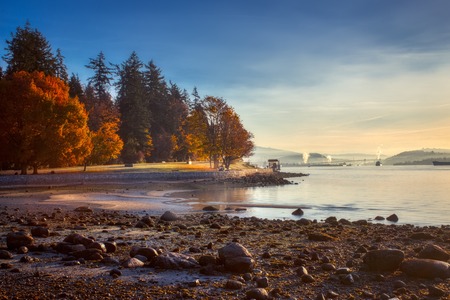 Vibrant autumn leaves and calm water seen along the Stanley Park Seawall Path at sunrise, Vancouver, British Columbiaの写真素材