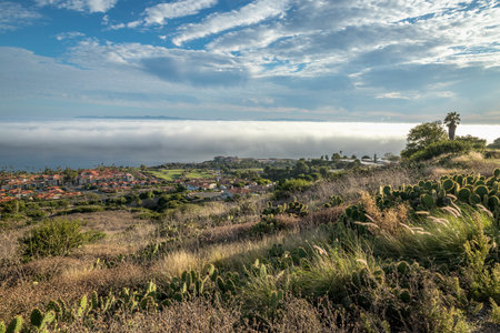 Experience the beauty of Rancho Palos Verdes, where a marine layer blankets the coast, creating a mesmerizing cloudscape over the rugged cliffs.の写真素材