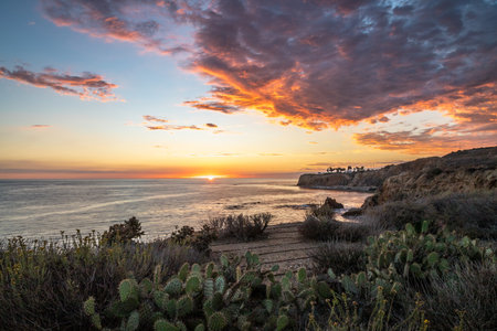 Gorgeous coastline view of Point Vicente and Pelican Cove at sunset with colorful clouds in the sky, Terranea Trail, Rancho Palos Verdes, Californiaの写真素材