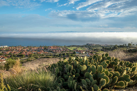 Experience the beauty of Rancho Palos Verdes, where a marine layer blankets the coast, creating a mesmerizing cloudscape over the rugged cliffs.の写真素材