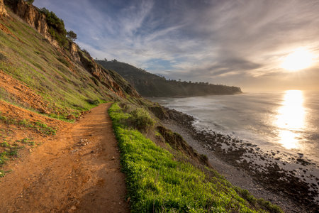 Experience Palos Verdes Estates' untamed beauty on the rugged Bluff Trail, where coastal cliffs meet soothing ocean waves, providing a serene escape in Southern California's coastal wilderness.の写真素材