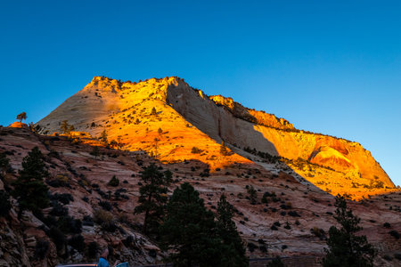 Golden light illuminates majestic sandstone formations in Zion National Park, creating a serene environment for outdoor enthusiasts and nature lovers.の写真素材