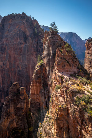 Hikers ascend the challenging rocky path of Angel's Landing, a popular hiking destination in Zion National Park, Springdale, Utah.の写真素材