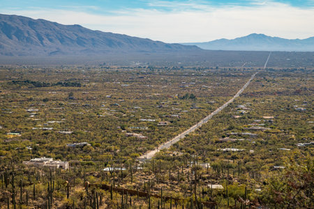 Explore the majestic landscapes of Mount Lemmon with a trekking adventure through the beautiful Sonoran Desert and cacti-filled wilderness.の写真素材