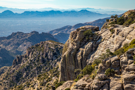 Adventure awaits on the rugged trails of Mount Lemmon, where stunning views and unique cacti define the idyllic Sonoran landscape.の写真素材