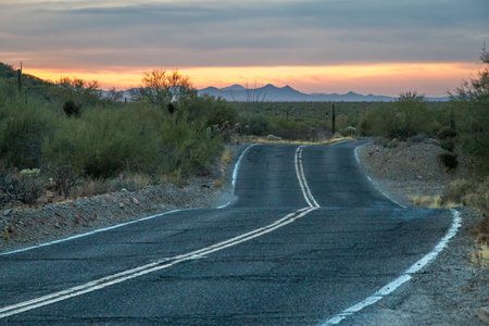 A winding road in the desert showcases the stunning colors of the sky during golden hour, surrounded by cacti and mountains in Arizona.の写真素材