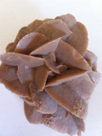 The sandstone flower of Brazil の素材