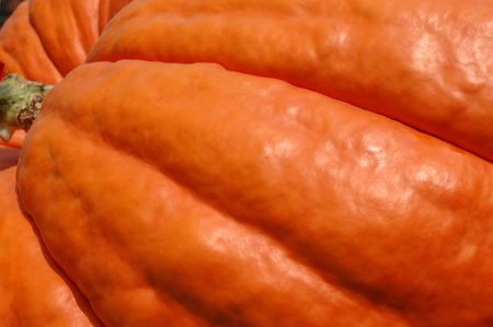 close crop of a 790 lb pumpkinの写真素材