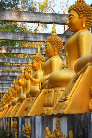 Collection of Golden Buddha statue at Thailand templeの写真素材