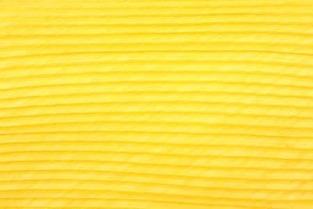 The picture of texture yellow fabric backgroundの写真素材