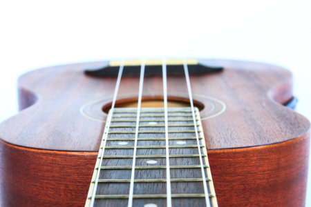 the picture of hawaiian guitar ukulele isolated 