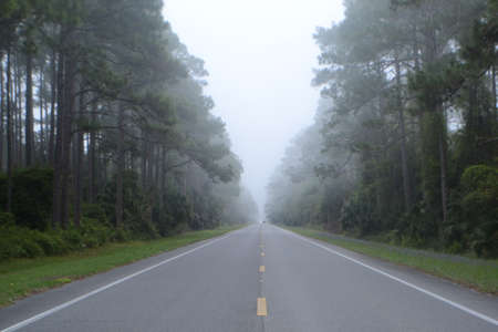 Two lane asphalt highway through forest in light fog.の写真素材
