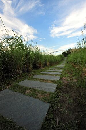 path to skyの写真素材