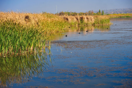 Ningxia Shapotou lake viewの写真素材