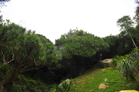 Nanshan bulaosong, Sanyaの写真素材