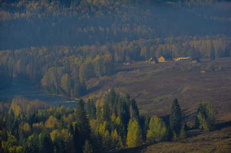 Baihaba Village forest farm, Xinjiangの写真素材