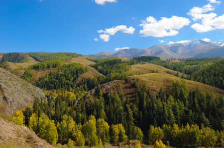 Baihaba Village grassland, Xinjiangの写真素材