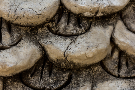 Scale King of Nagas stoneの写真素材