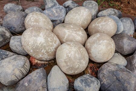 dinosaur eggの写真素材